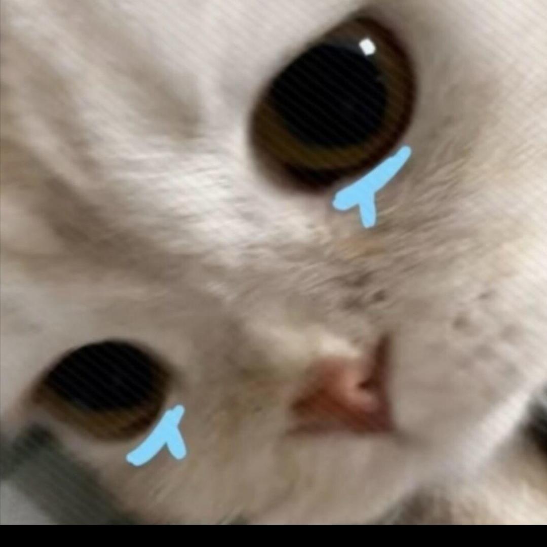 南、