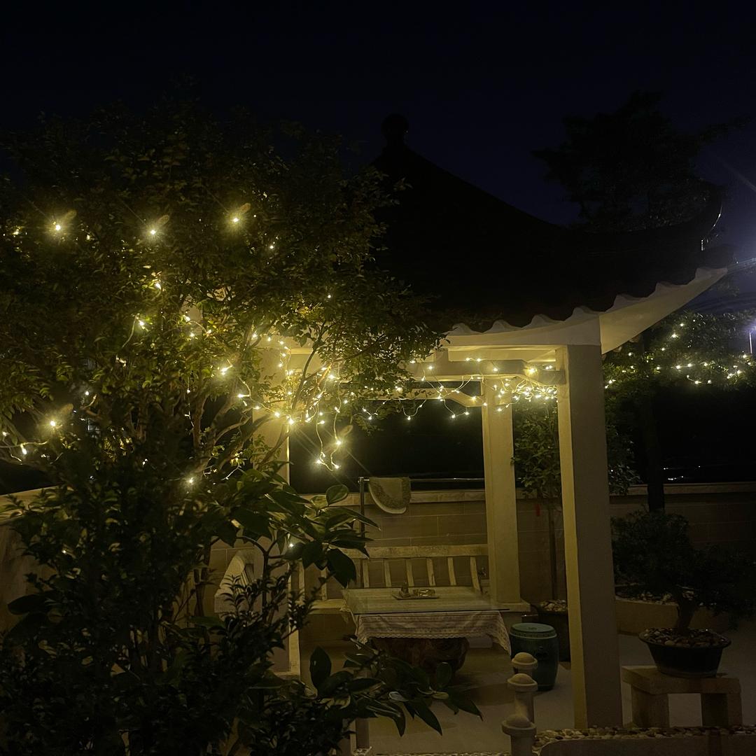 🌈🌿丰富蜜蜂🐝🌈