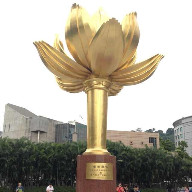 金雅路，凤🌺