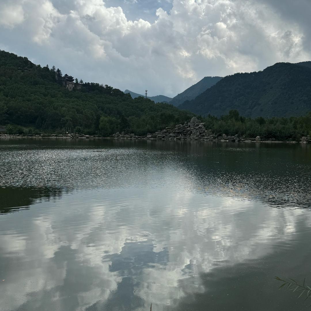 向往自由的鹰