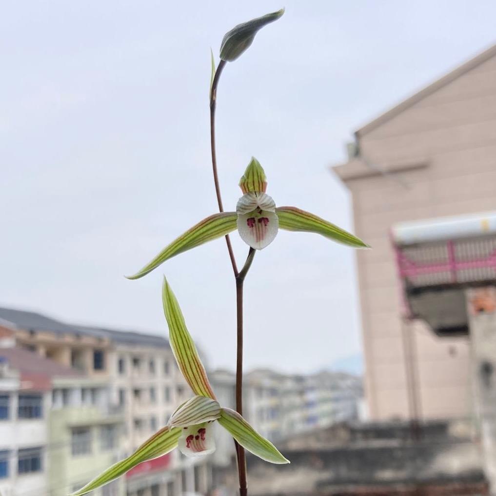 永嘉楠栖影视创意屋