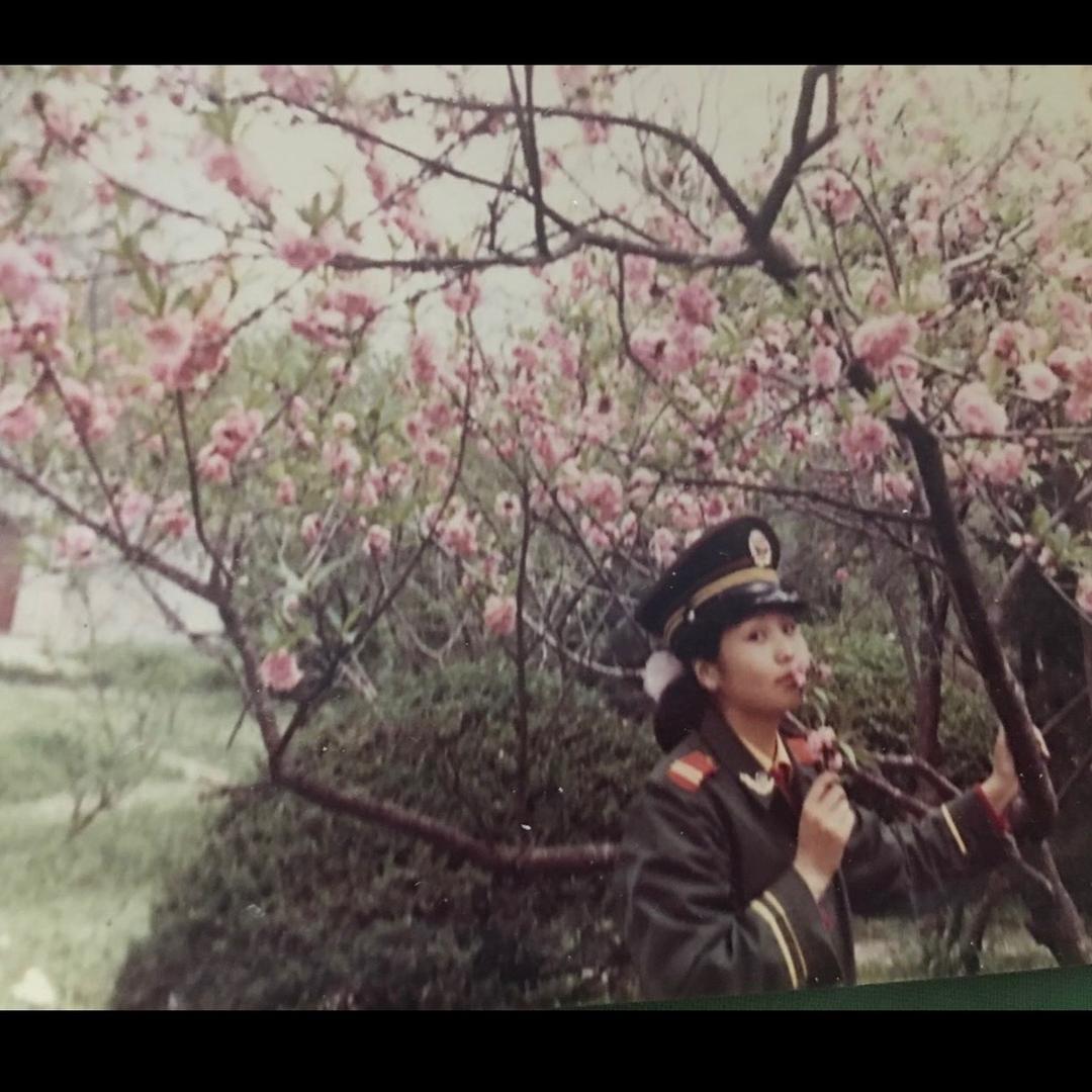丽丽姐（87，11，皖武）