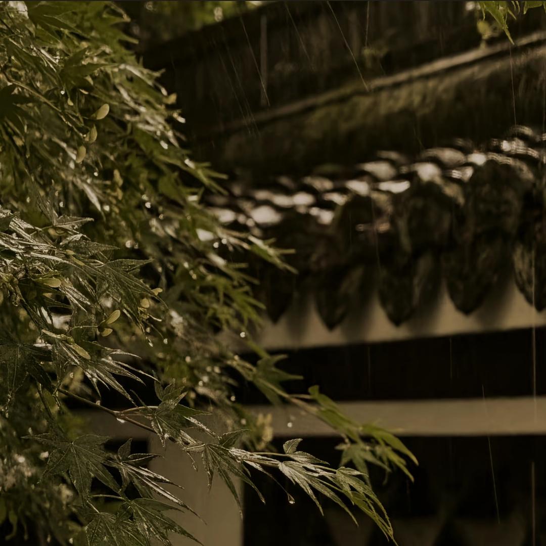 砚池承取旧时雨