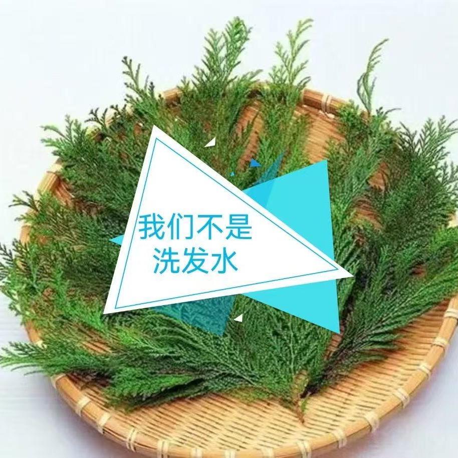 沁阳植萃染发养发堂
