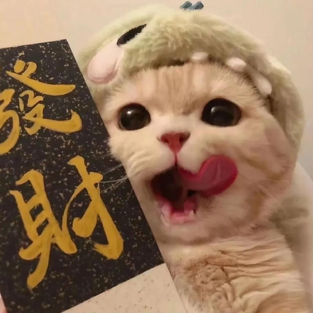 我是真的困
