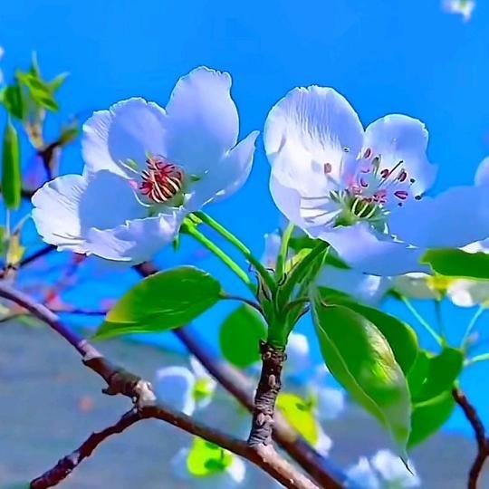 ℋღ᭄余生🍒安好💞࿐