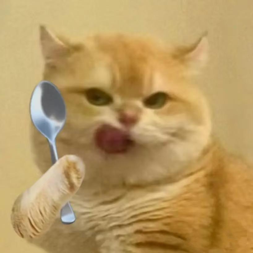 爱吃的🐟