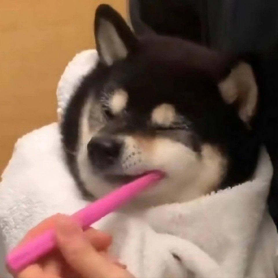 我就会菠萝心