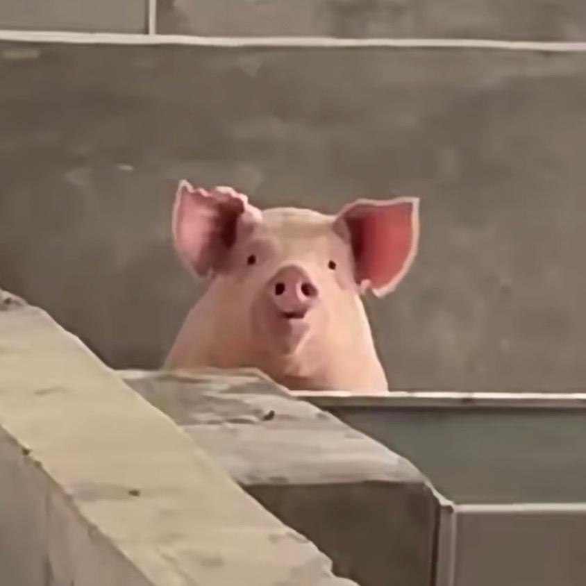 果粒