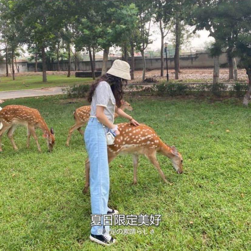 是你的小可爱呀