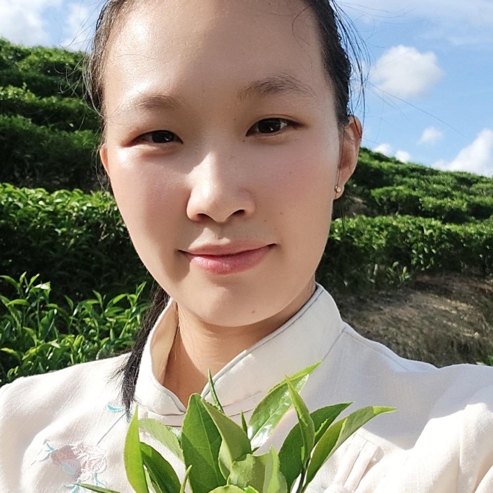魏小姐的单丛茶