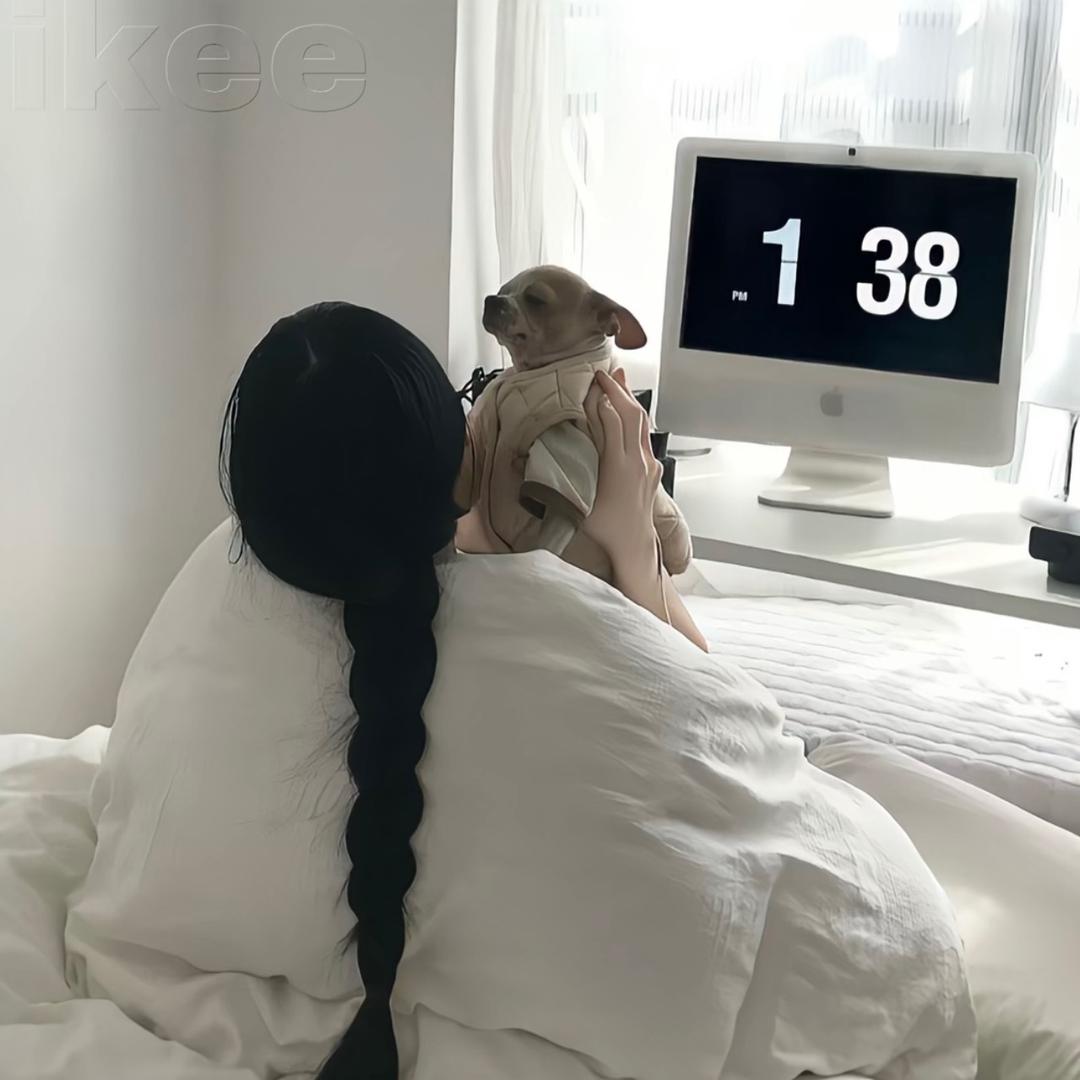 总犯困💤