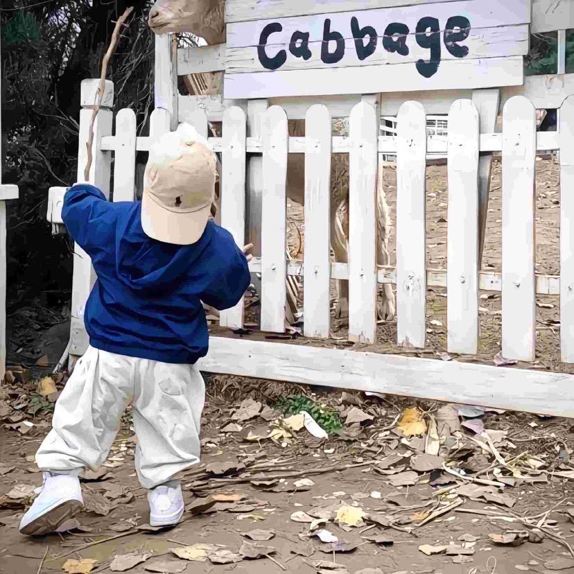 A华志专升本学历提升-张老师