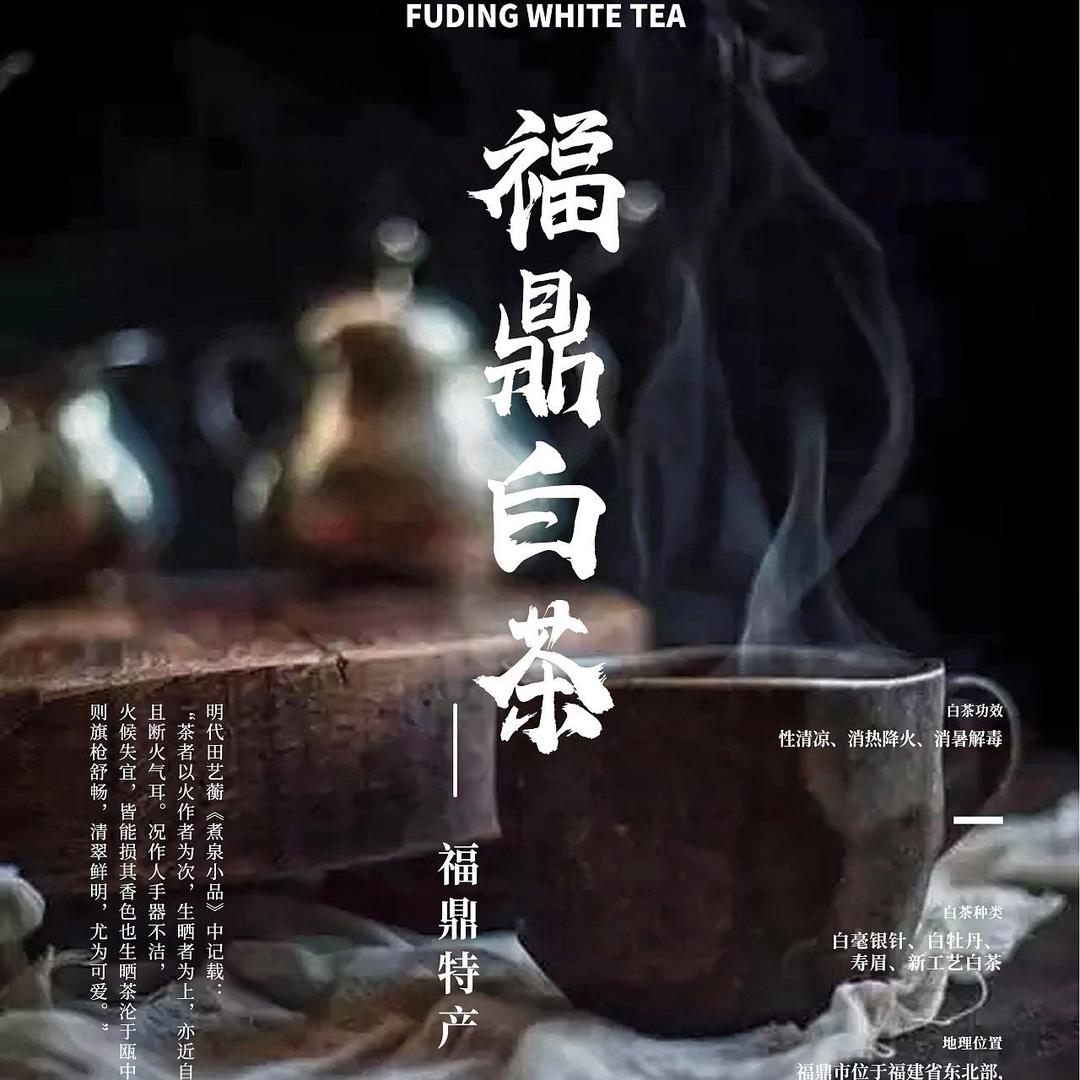 云中管阳寻山白茶