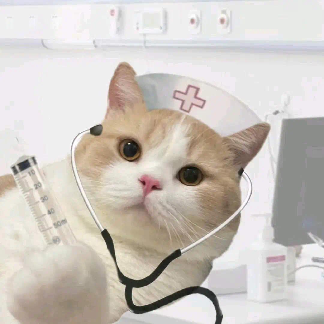 王蒿阳、（N0版）