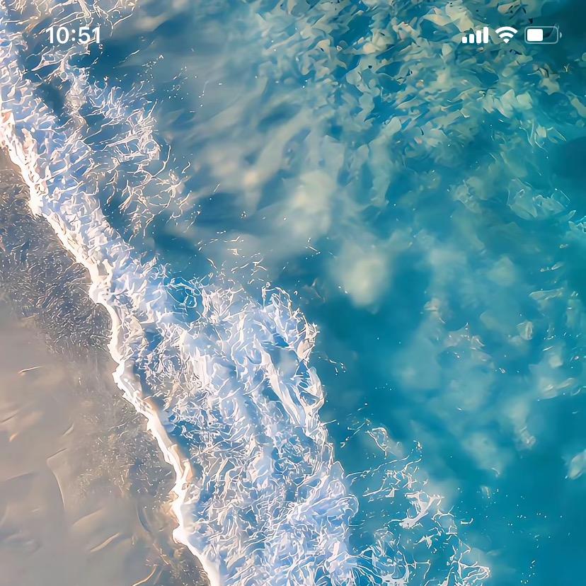 上海菜盆子餐饮管理有限公司897企业店