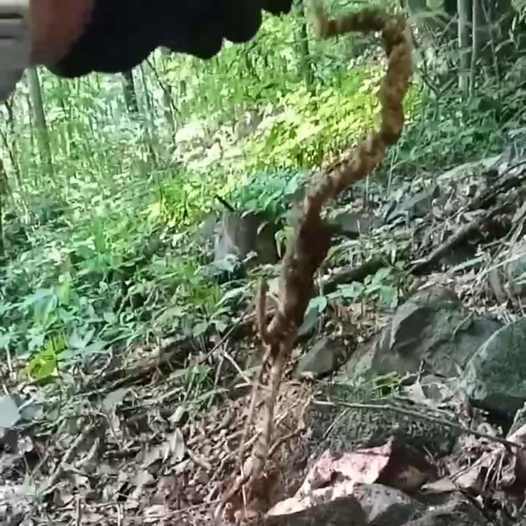 恩铭野生特产坊