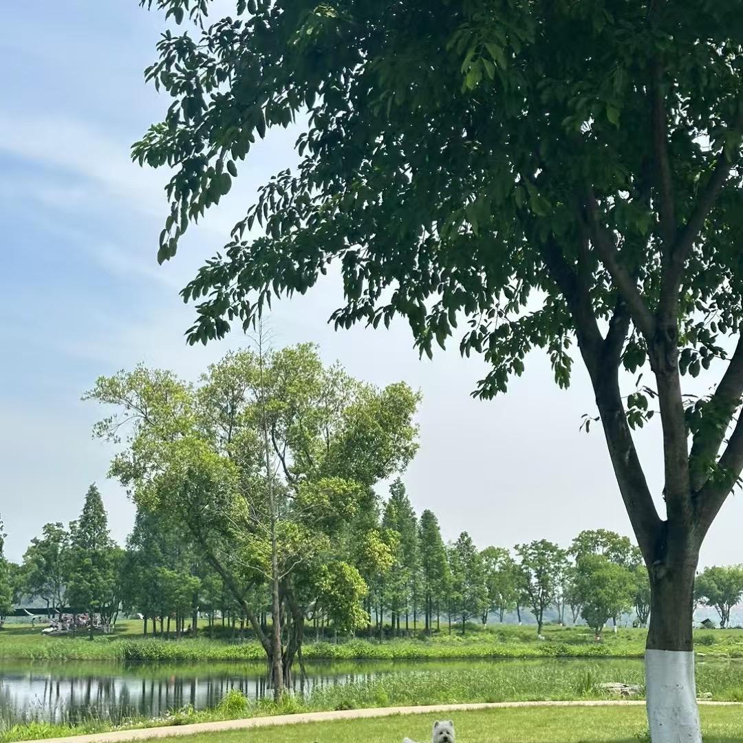 你怎么还不醒