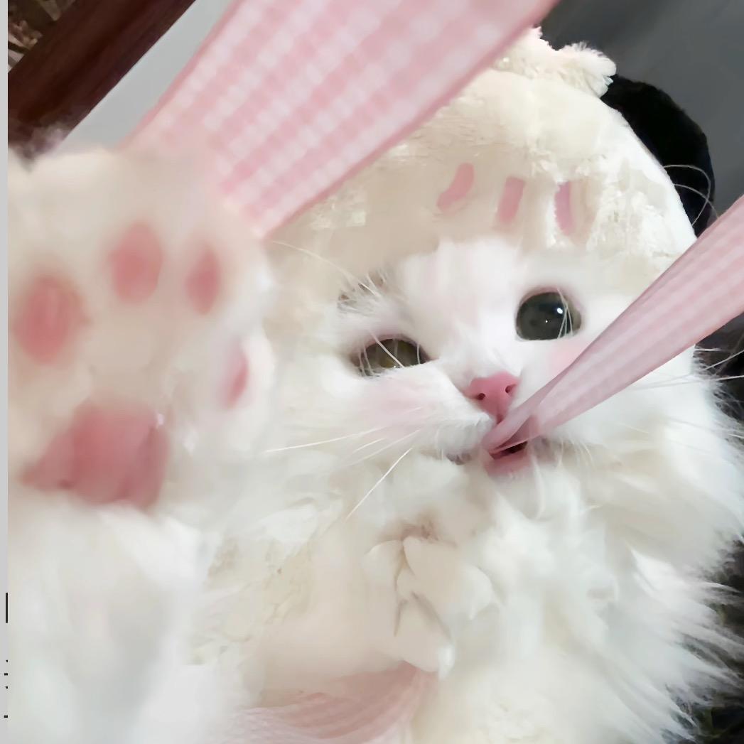 小梁໒꒰ྀི˶´˘`˵꒱ྀི১