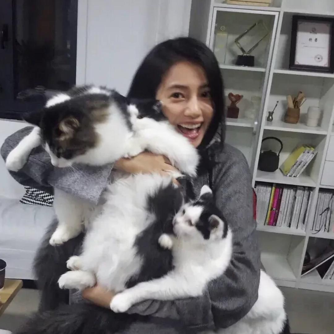 不过尔尔