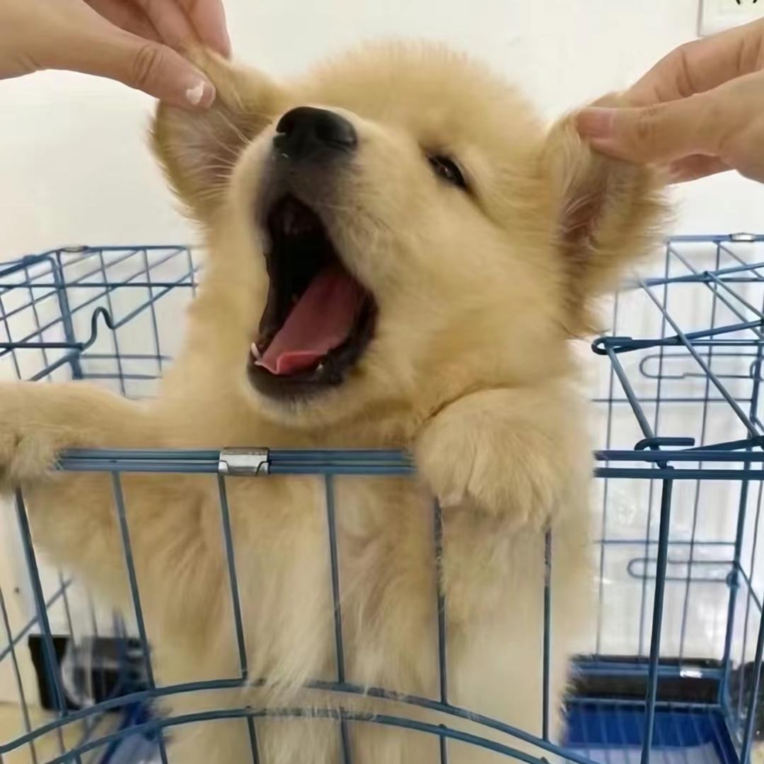 成功女人之财神到我家