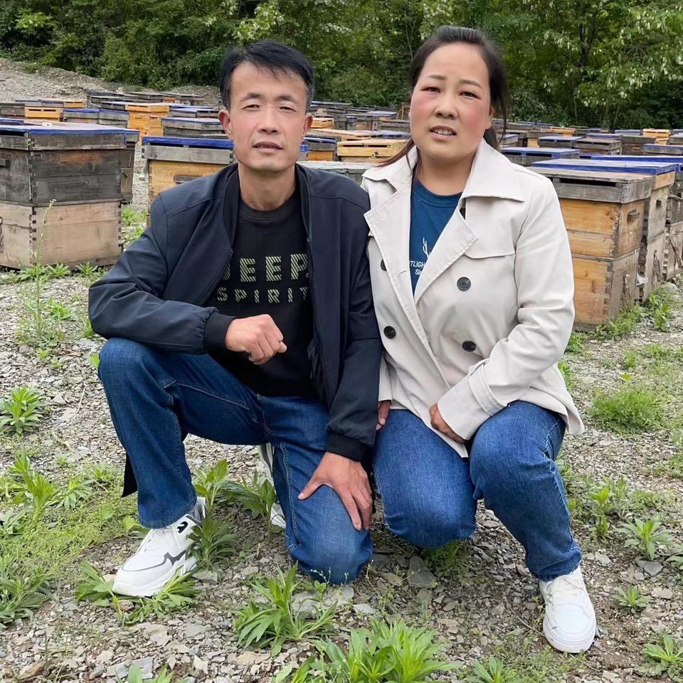 燕子夫妇