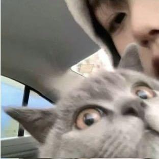 ㅤ7