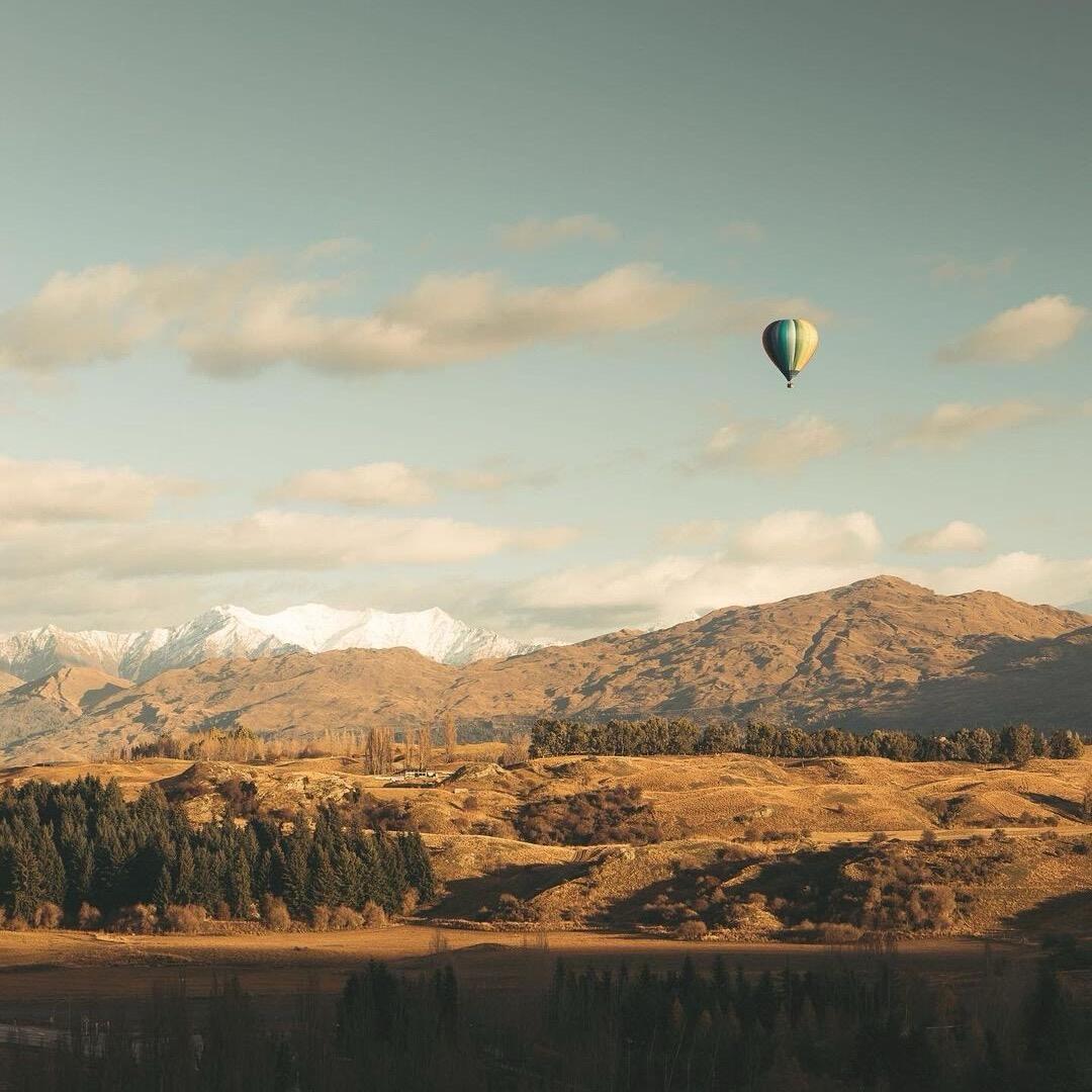 佳曌便利店X宠粉号