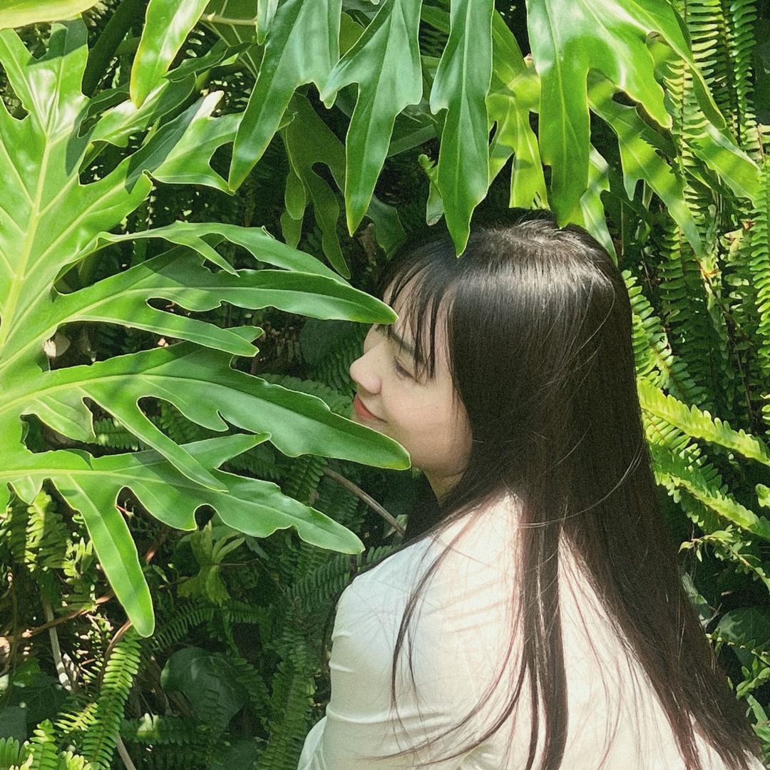 陈记憨冬瓜
