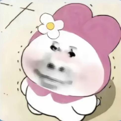 不爱亲嘴嘴.