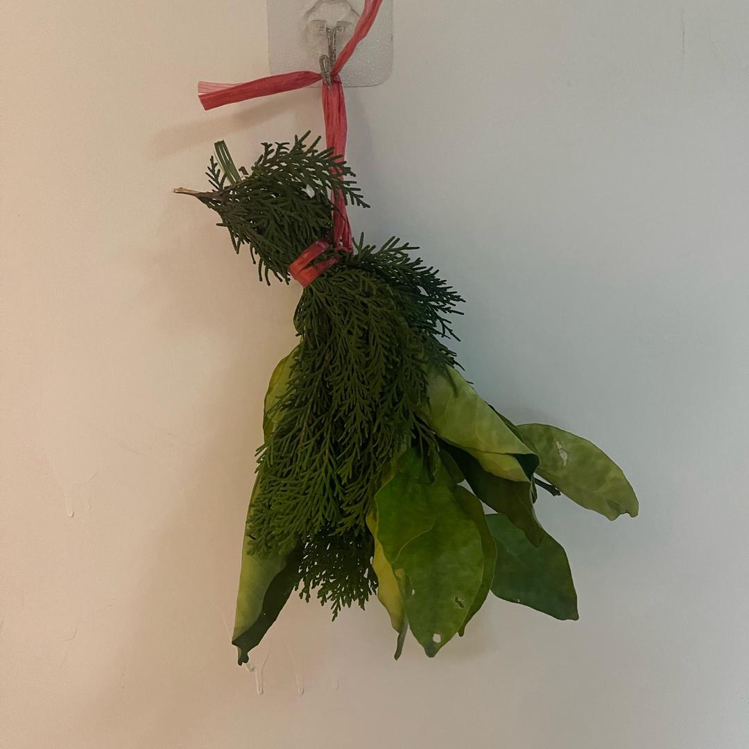 啊清优选