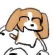 多栋宝宝