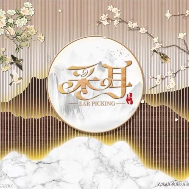 耳匠可视采耳