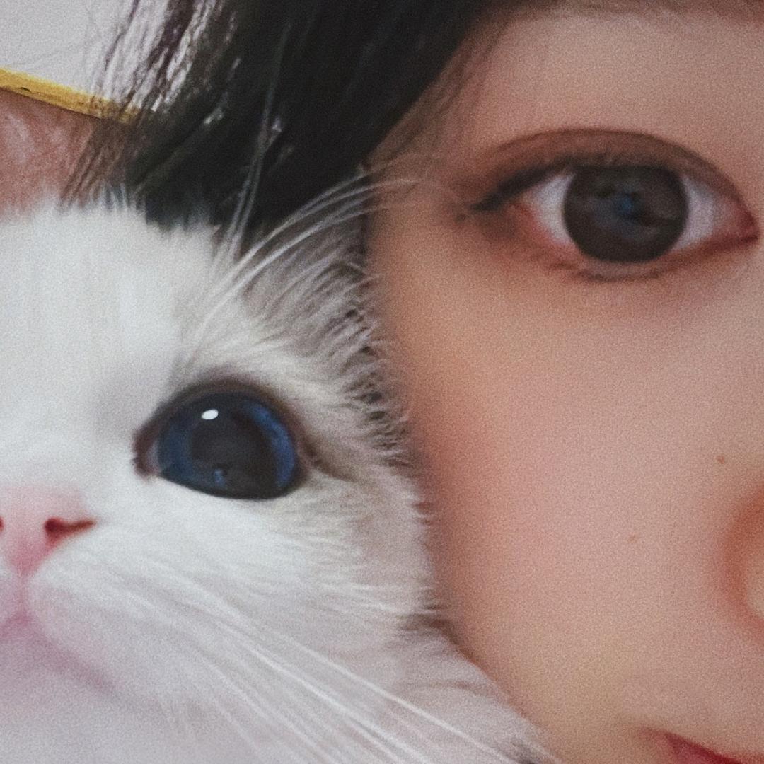 咪咪陈