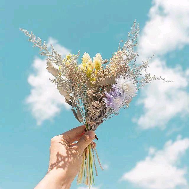 小芬手工编织
