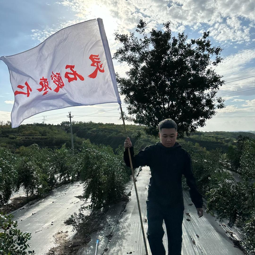 可可希利酸枣坊