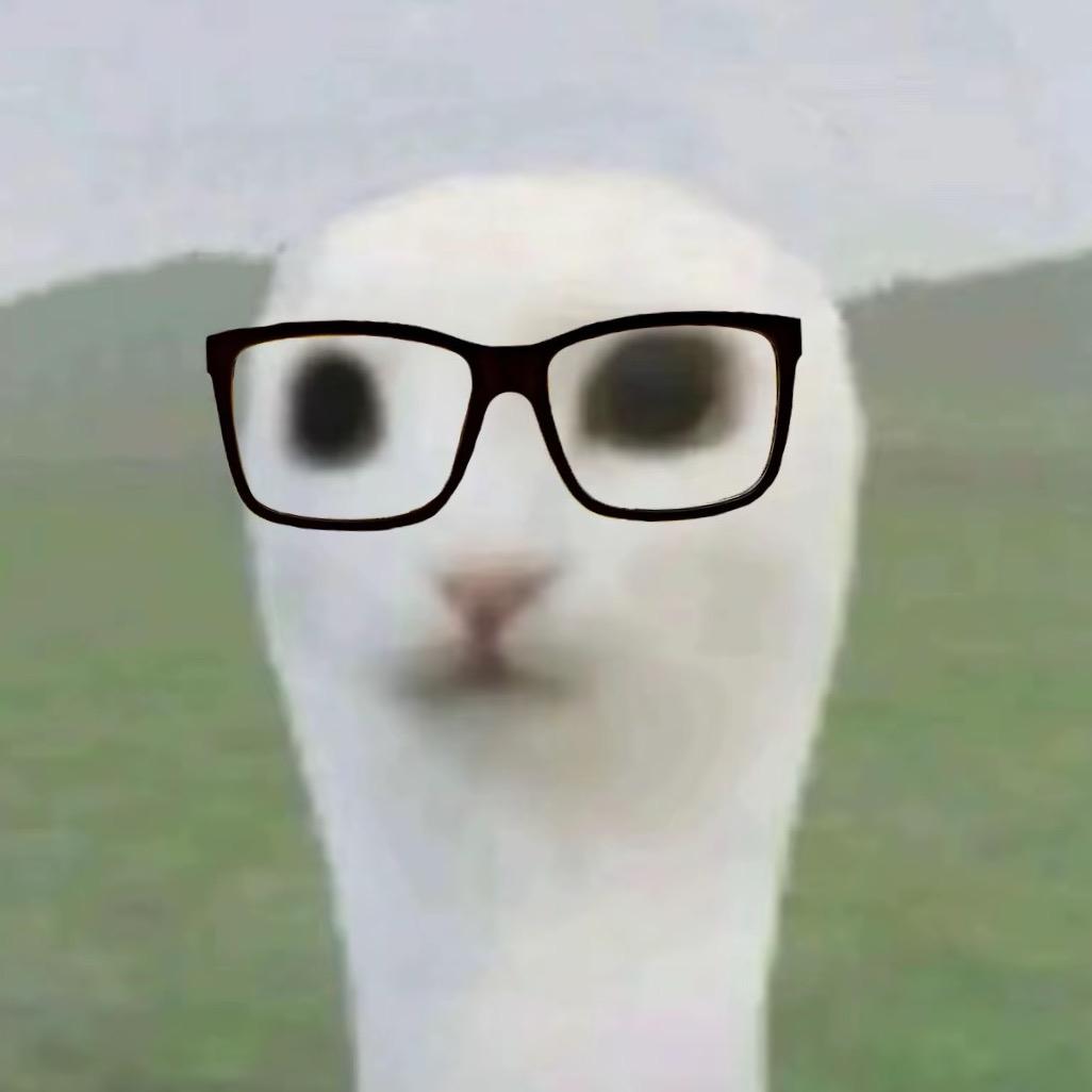 哈了个小哈哈