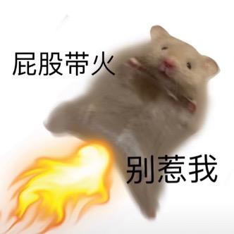 _21.