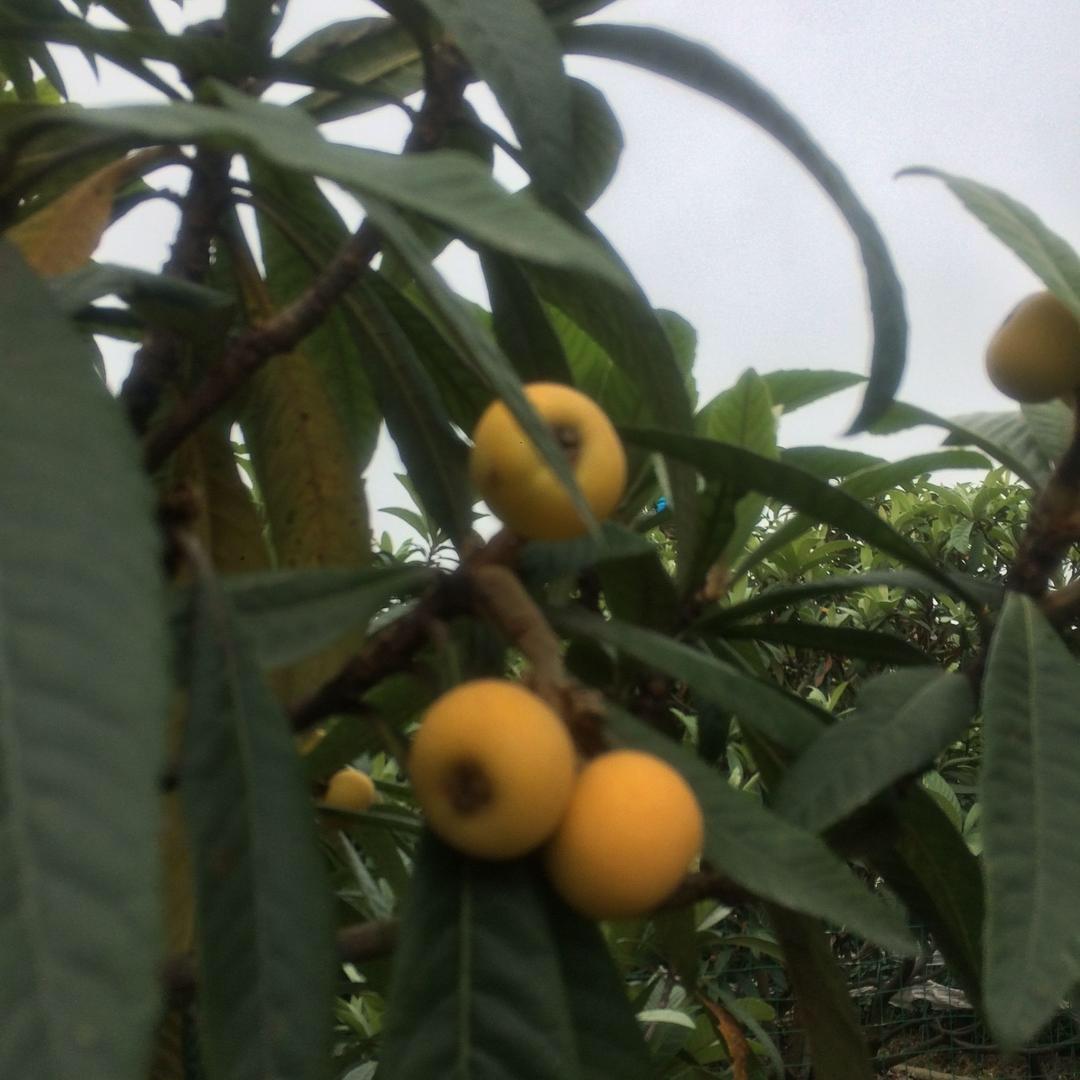 手机用户快乐每一天