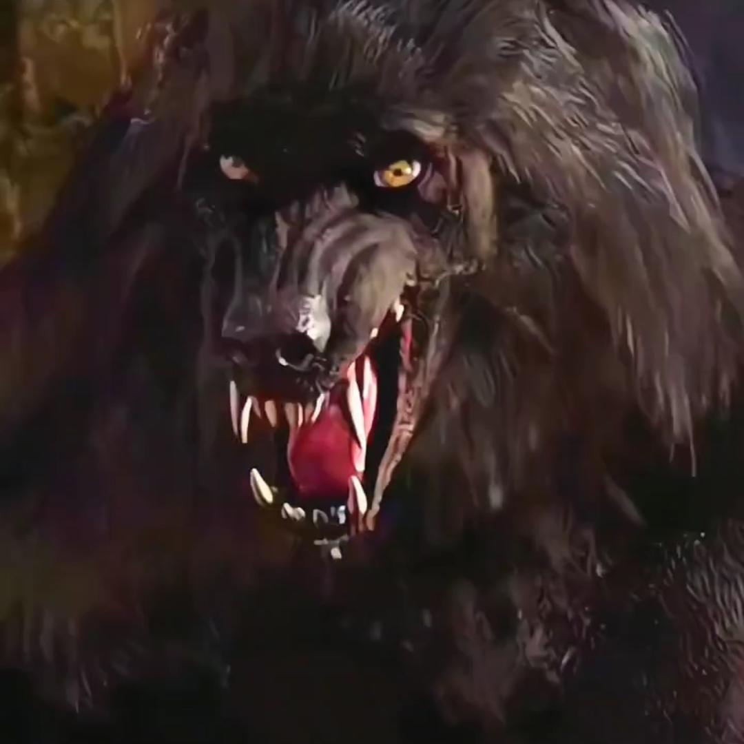 有多少爱可以胡来？