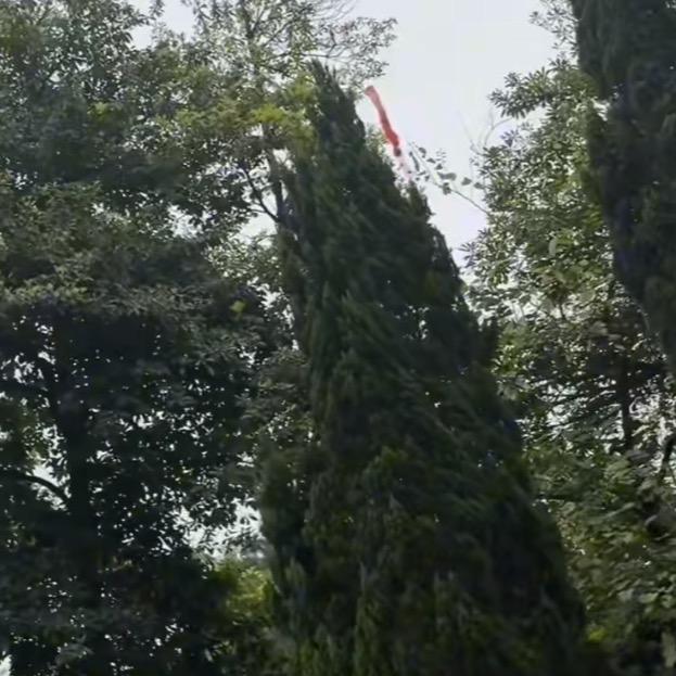 沁颂文化传媒工作室