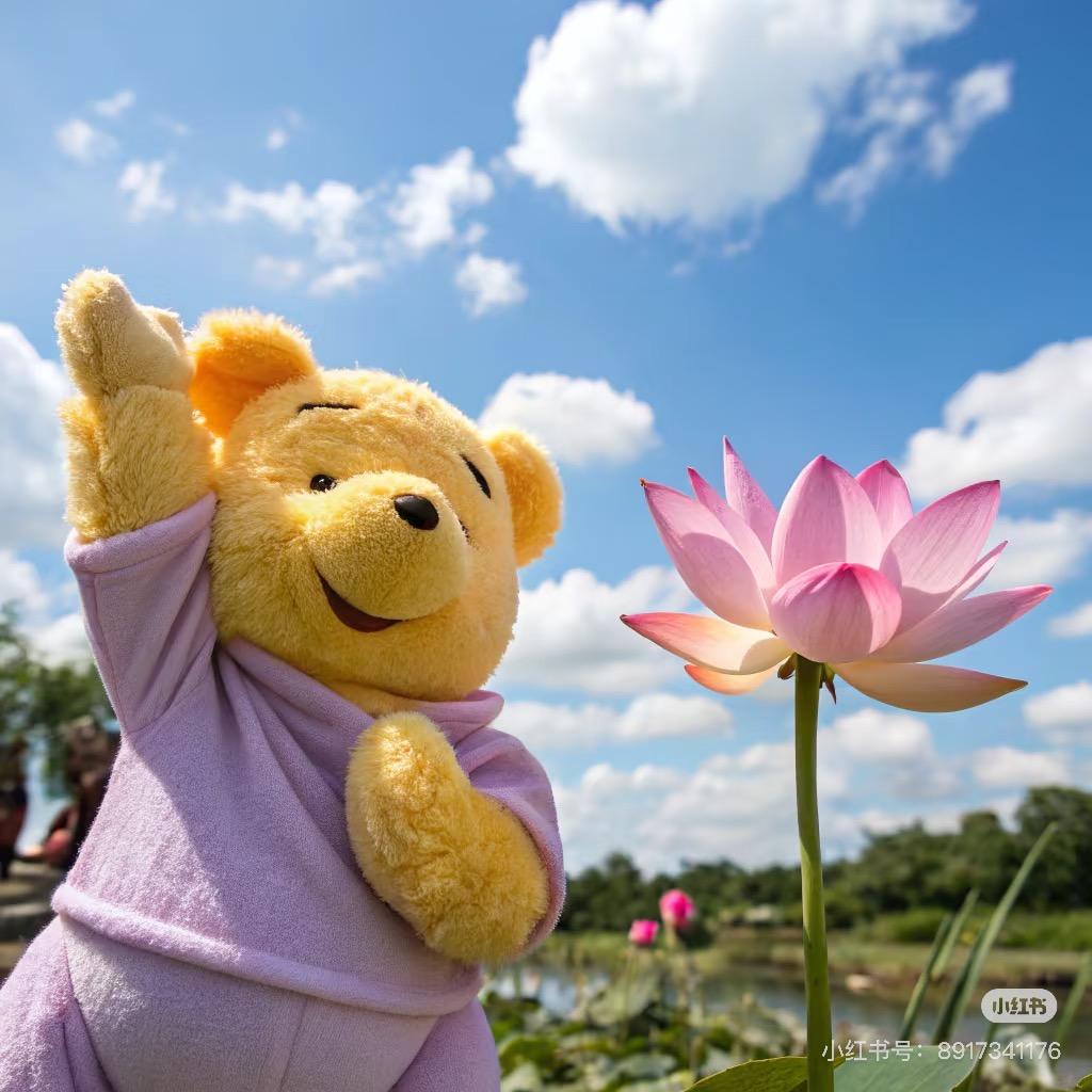 临沂升学规划-李老师