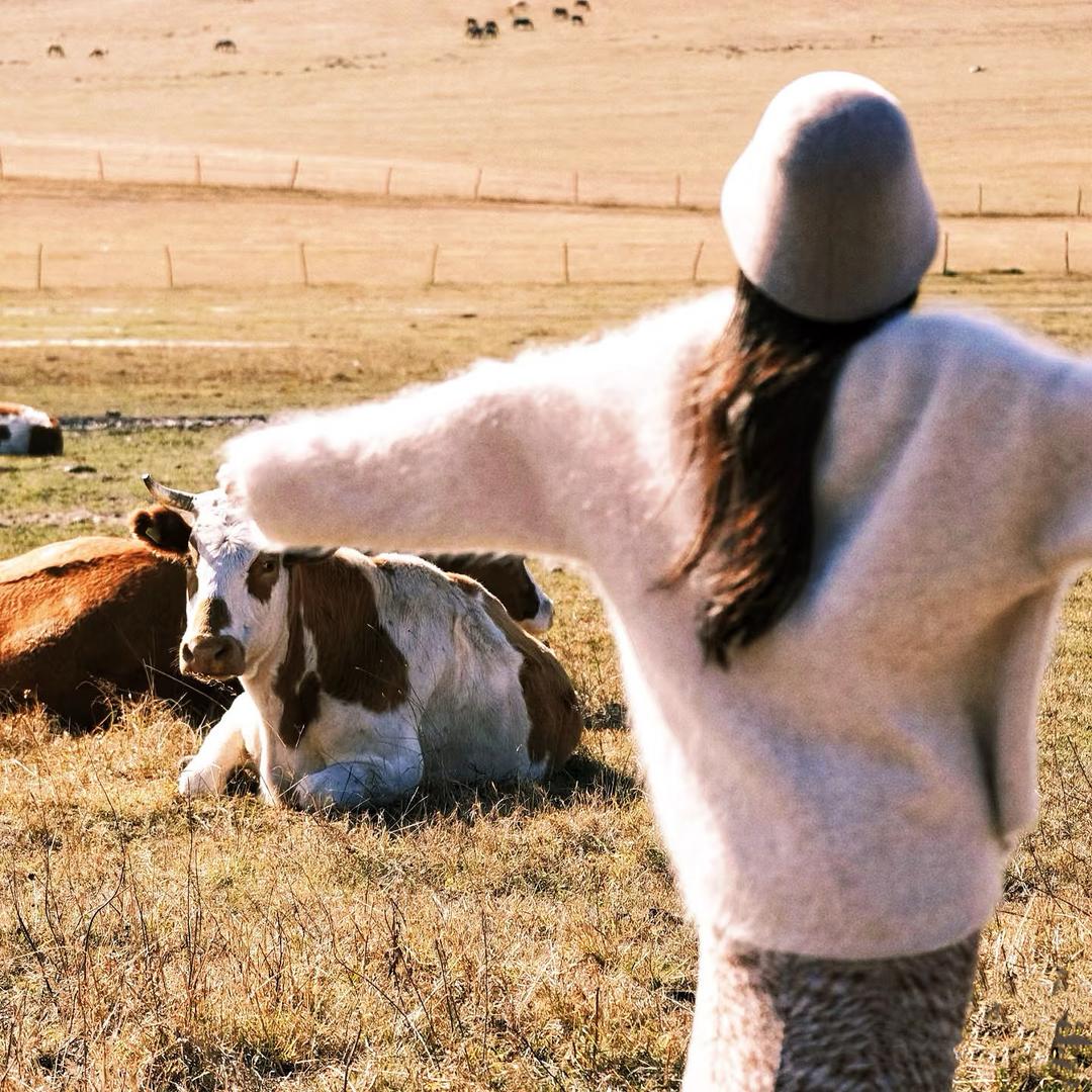 八颗牙牙🦷੯‧̀͡⬮