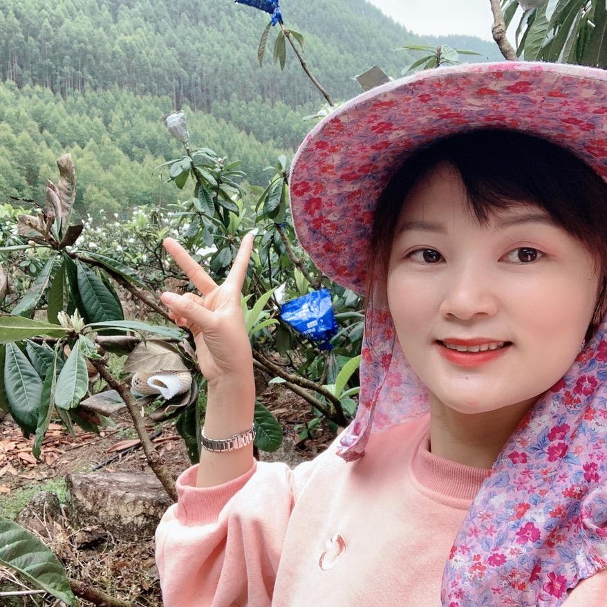 小隐一条根康金购