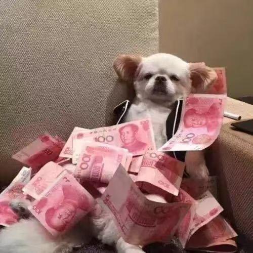徐🐏彬