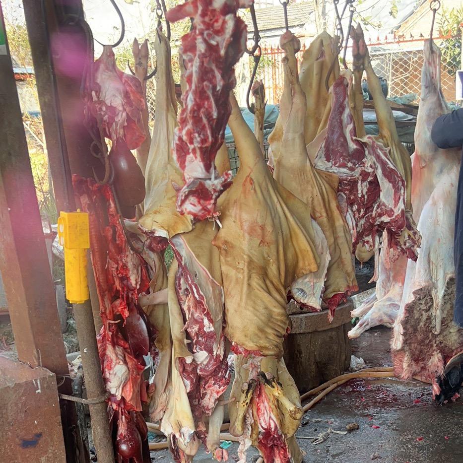 皖北牛羊肉批发粉店专用