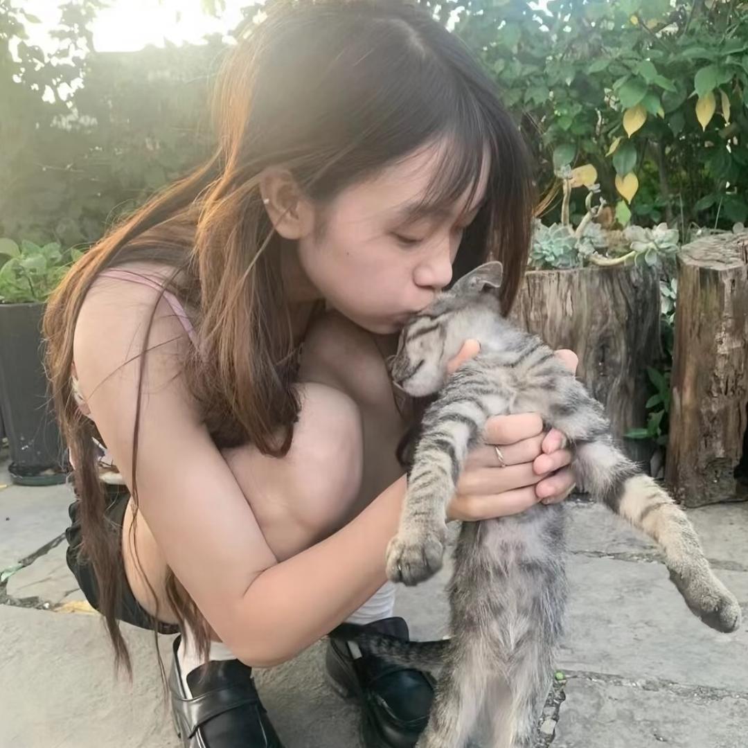 苏在在