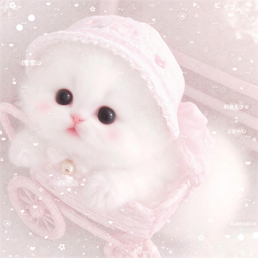 兔耳雪