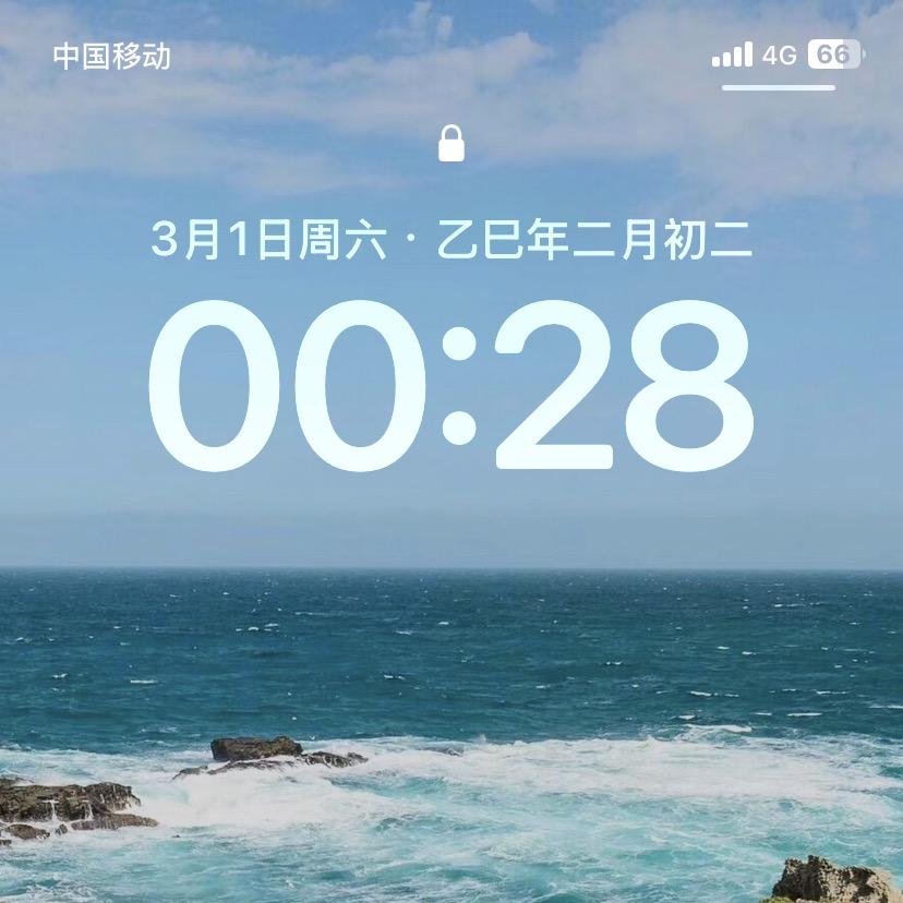 疆小勇新疆特产优选