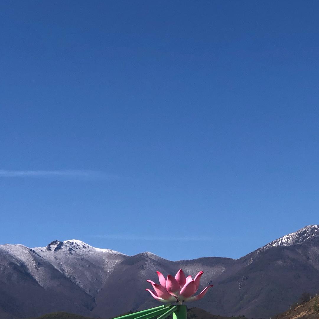 吉祥如意